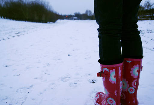 snow foot prints