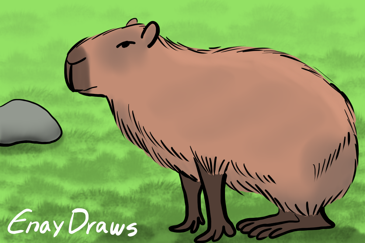 capybara by E-a-s-y on DeviantArt  Animal illustration, Capybara, Cute  animal drawings