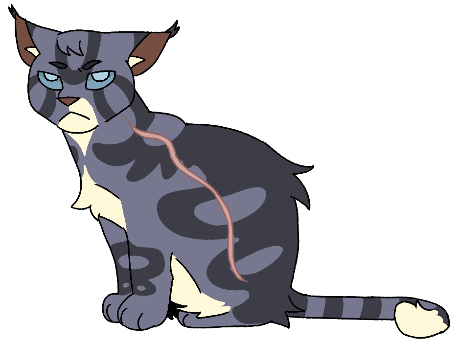 Warrior Jayfeather AU by paintedpaw-cat on DeviantArt