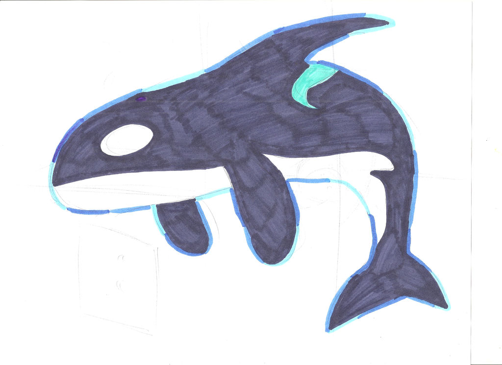 Orca Spirit