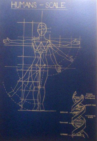 Human Plotters Blueprint Human by AmyTheStrange1 on DeviantArt
