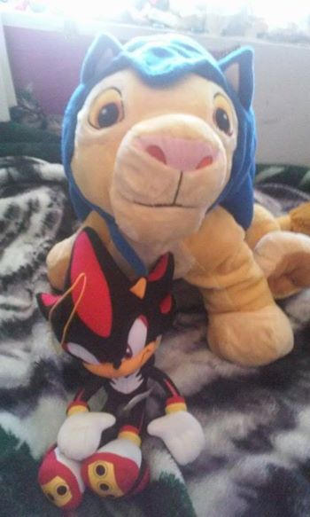 Simba and Shadow by EmilyBandicoot1234 on DeviantArt