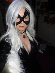 Black Cat