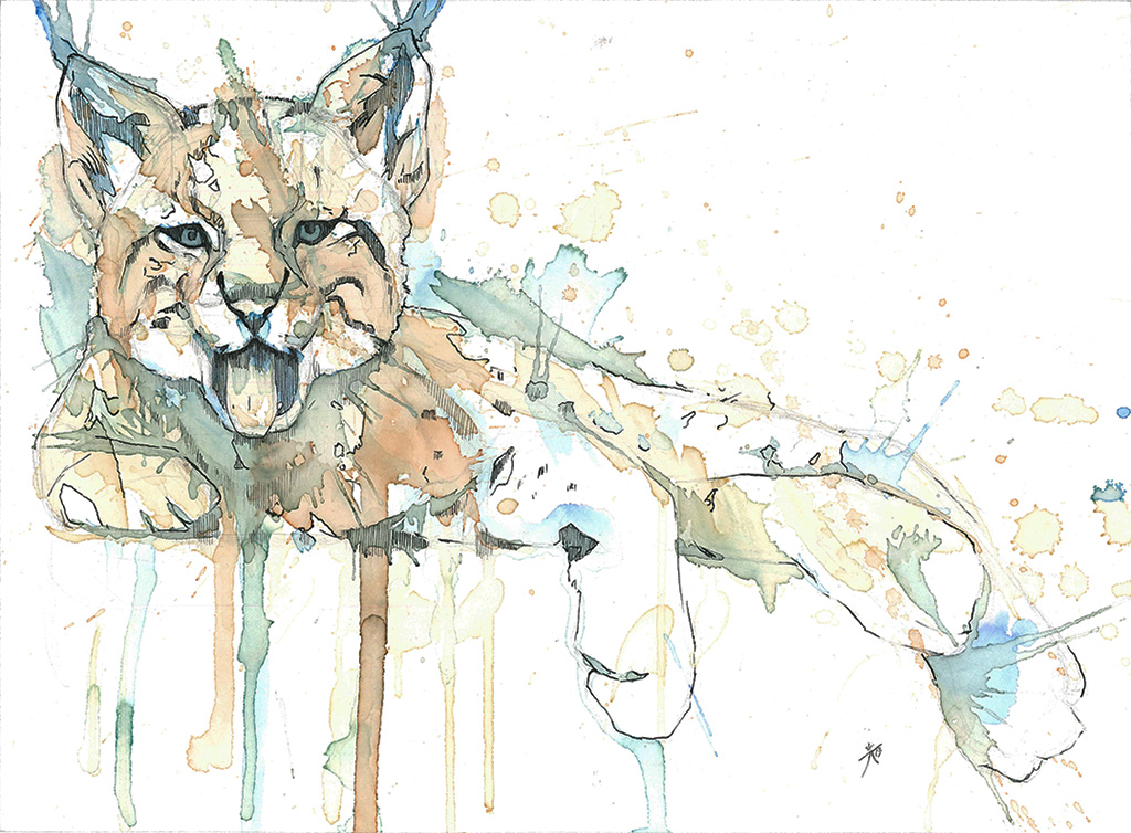 Lynx by alarie-tano