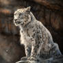 The Snow Leopard