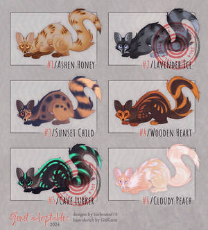 Genets - Adopts [OPEN 4/6]