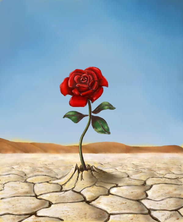 2d Desert Roses Desert Rose by antonvandort on DeviantArt