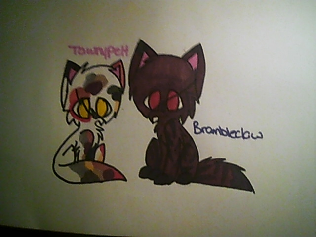 Tawnypelt and Brambleclaw