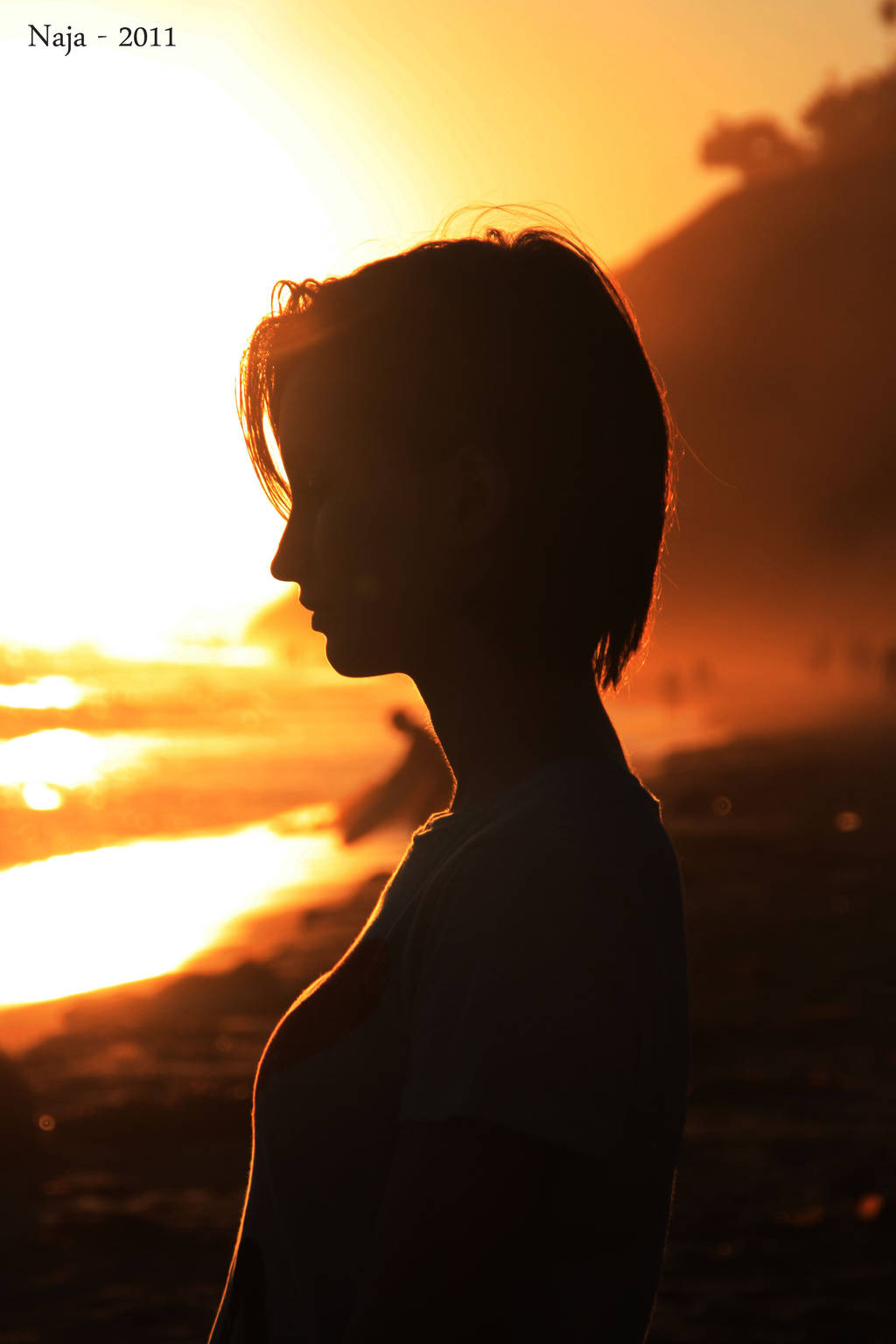 Sunset shilhouette by MissCole