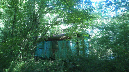 Romantic wagon in the wood.