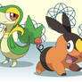 Generation V Starters