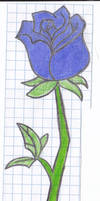 Blue Rose