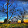 Barn Sunset