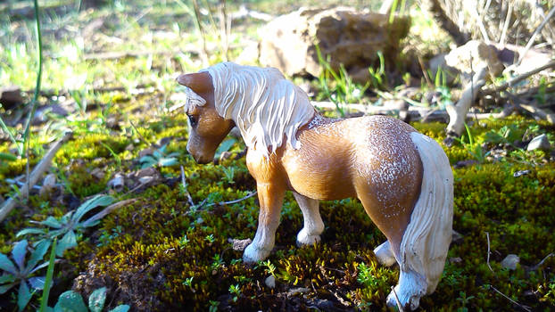 Schleich lovely pony!