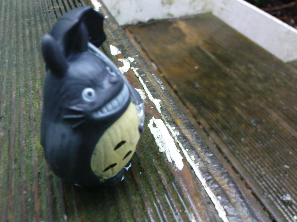 Totoro In The Rain