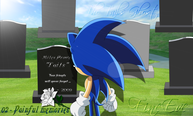 Shadow The Hedgehog Llorando Sonic X