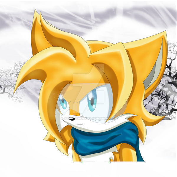 Tails 2 years later - Sonic Forget the past by SilverAlchemist09 on Deviant...