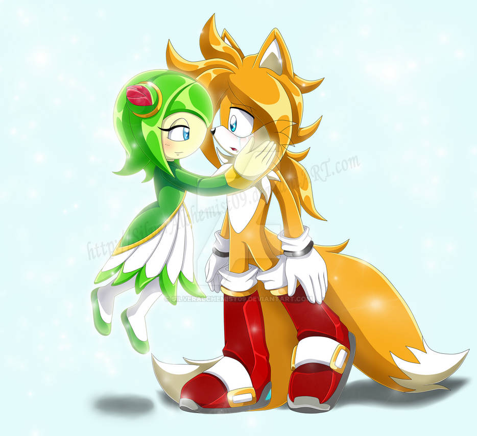 TSR - The reunion of Tails and Cosmo~ by SilverAlchemist09 on DeviantArt