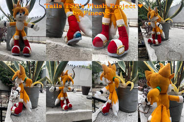 Tails TSR's Plush Project by Fineeve