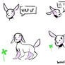 Dog Comic