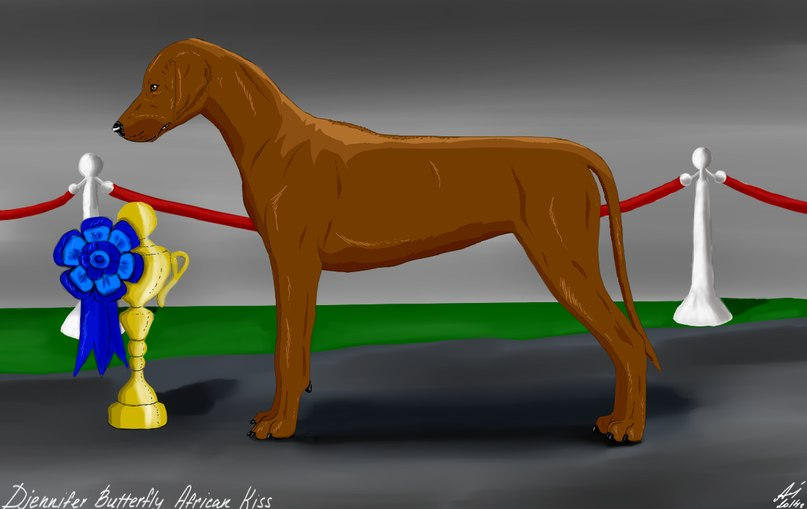 Rhodesian Ridgeback at the exhibition _2014 by roxarmstrong on DeviantArt