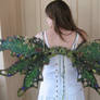 Woodland Faerie Wings