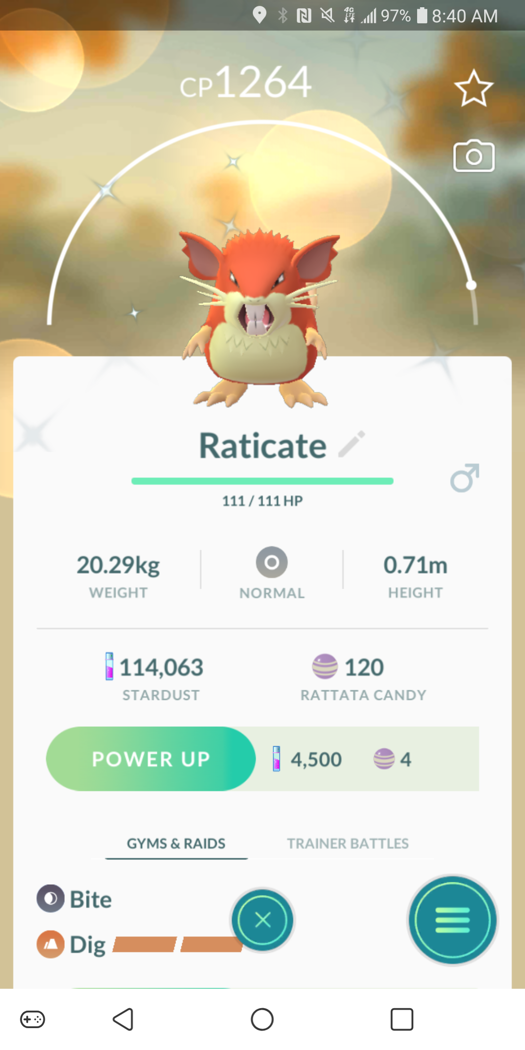 Shiny Raticazta A shiny raticate by ksuniverse on DeviantArt