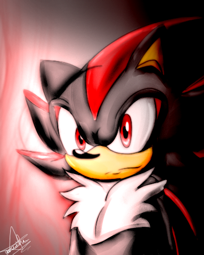 :shadow the hedgehog: