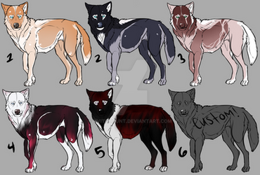 Skaldron Adopts 6/6 OPEN!