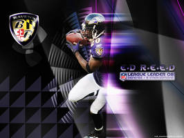 Ed Reed Wallpaper