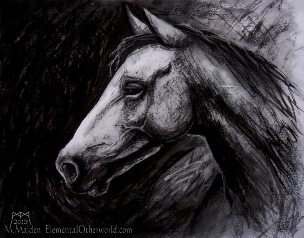 Horse Sketch