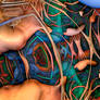 Soft Under the Exoskeleton - lo res