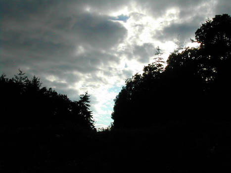 Clouds an Trees