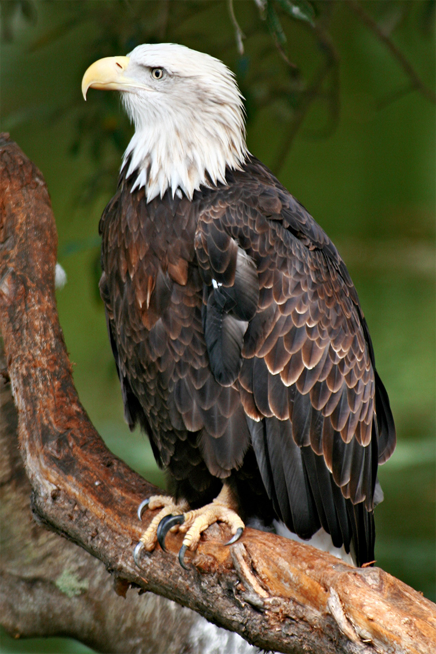 SF Zoo - 21