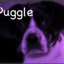 Puggle