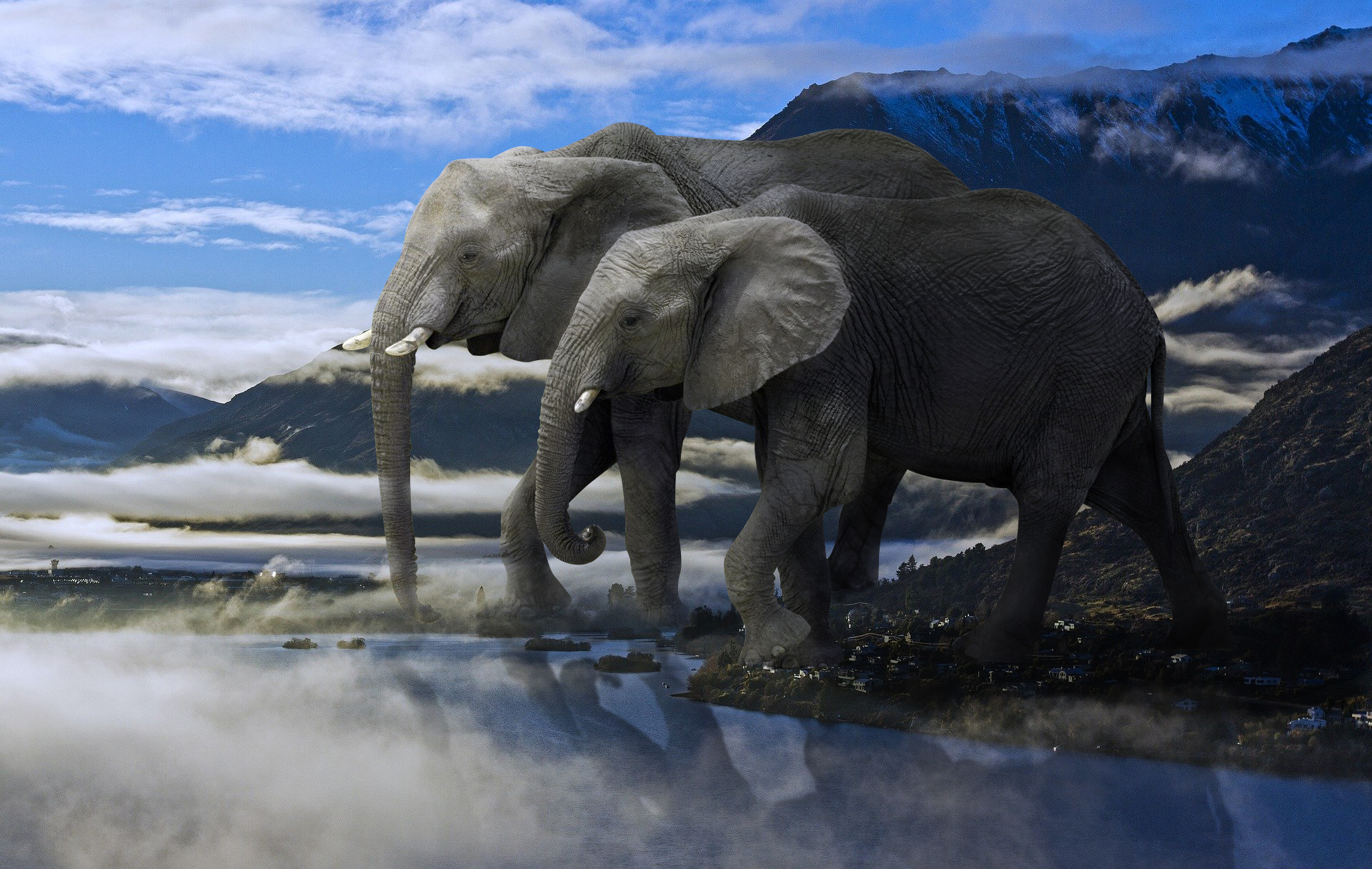 giant elephant by Crystaliz69 on DeviantArt