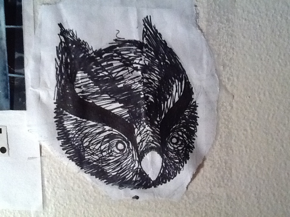 Owl