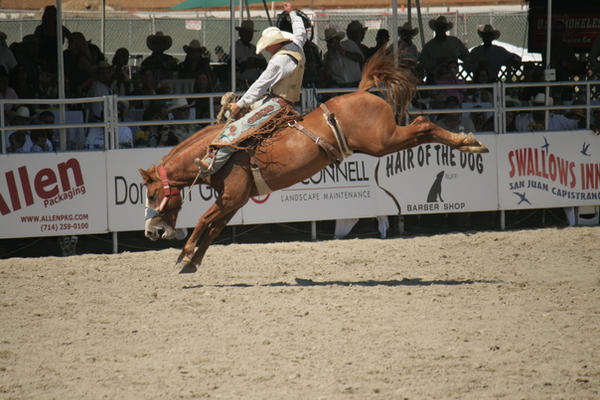 Sixten Rodeo rodeo 62 by xbr0kendevotion on DeviantArt