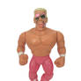 Sting Hasbro WWF WCW Wrestling Digital Custom