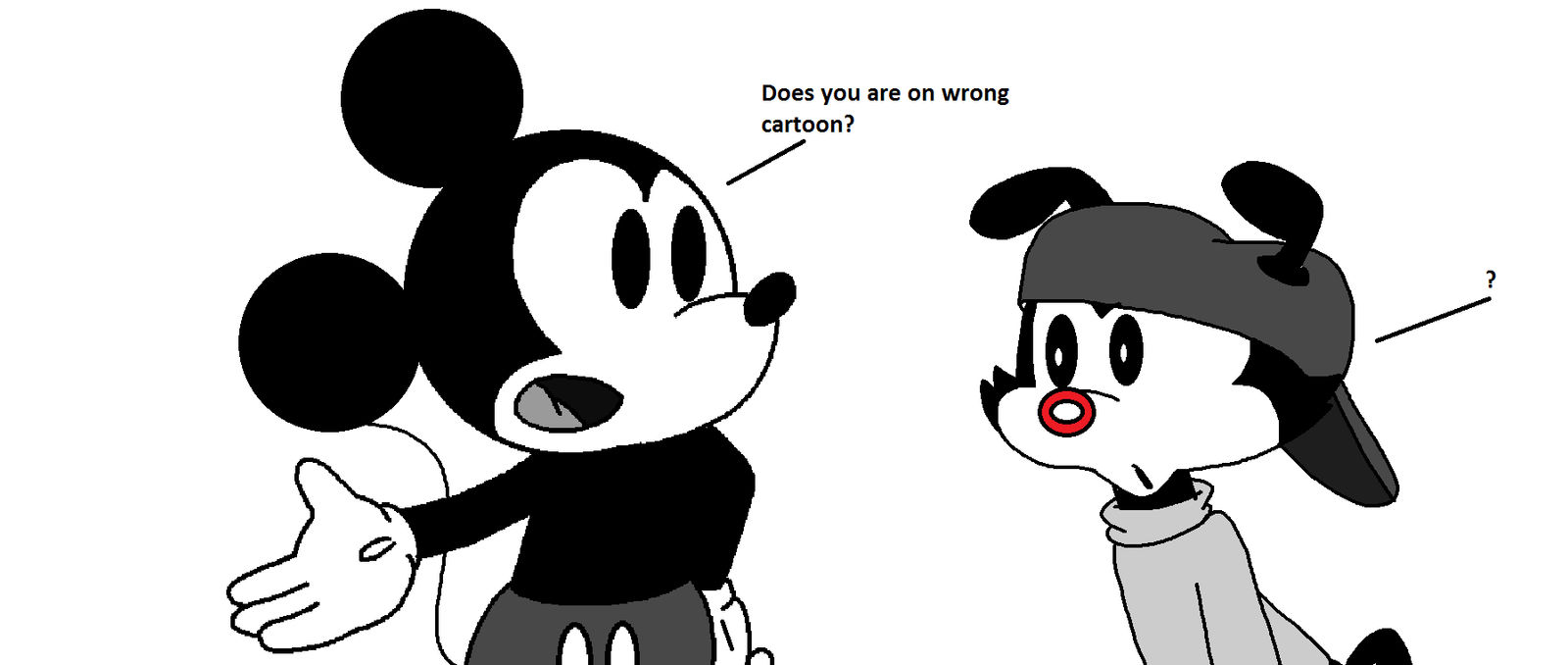 Wakko is on wrong cartoon?