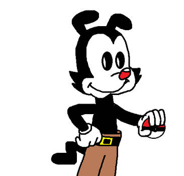 Yakko with a pokeball