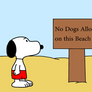 Snoopy sees No Dogs Allowed plaque at beach