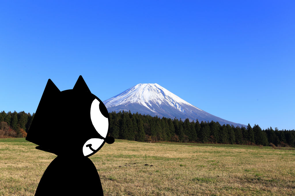 Felix seeing Mount Fuji