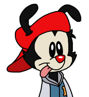 Wakko Warner with outfit from Teeniacs