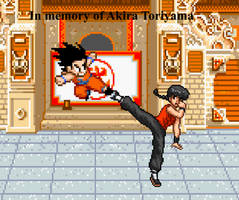 Kid Goku and Ranma Saotome fighting