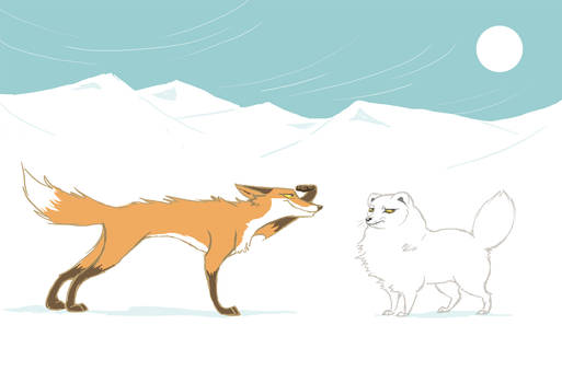 Foxes and Snow