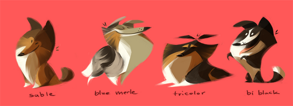 Bunch Of Shelties