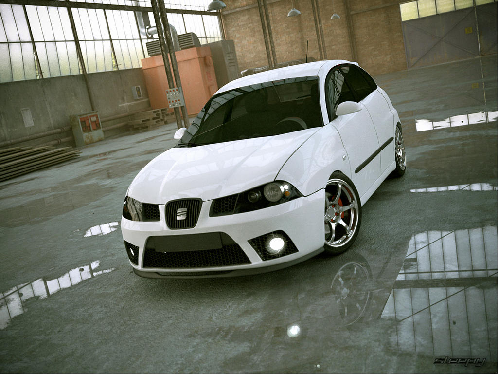 Seat Ibiza 6L_Stance_3 by LucianP on DeviantArt