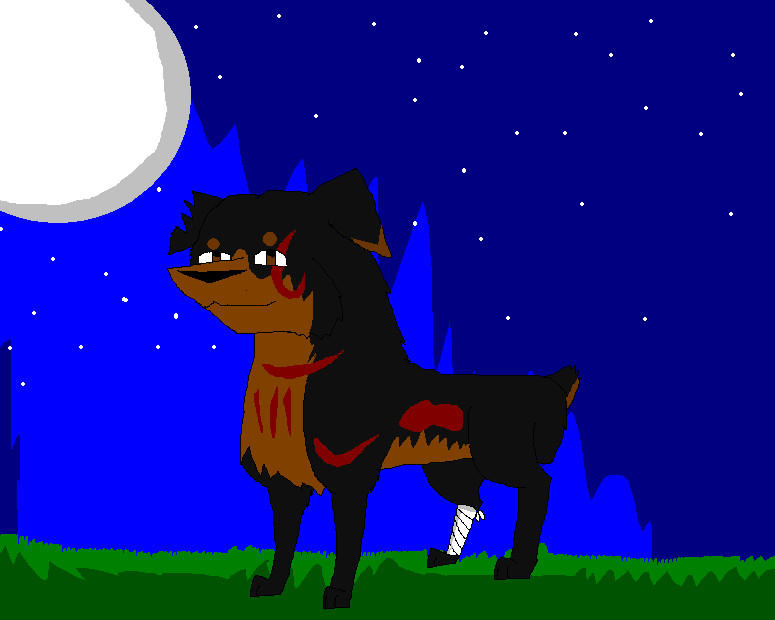 Rottweiler by AmnesiaWerewolf on DeviantArt