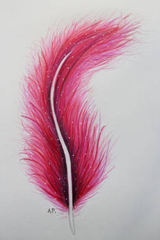 Pink Feather